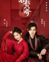 Chàng Rể Hai Mặt