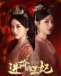 Tấn Giai Đích Vương Phi